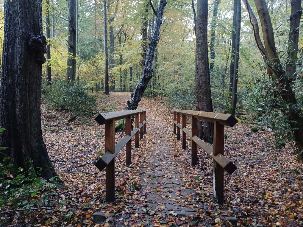 Screenshot 2024-10-21 144245